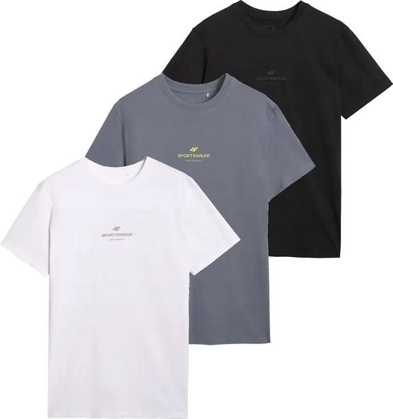 Zestaw 3 sztuk koszulka męska 4F T-shirt 3-pak TSHM2961 20+32+10 L