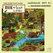Audiobooki dla dzieci i młodzieży - Rok w lesie. Lipiec - miniaturka - grafika 1