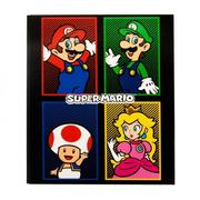 Segregatory - Super Mario 4 Colour - segregator A4 - miniaturka - grafika 1