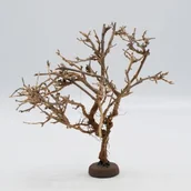 Dekoracje do terrarium - Aqua Global Dekoracja na stopce S - miniaturka - grafika 1