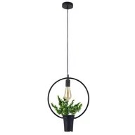 Lampy sufitowe - Polux Lampa wisząca IL MIO SOREN czarna 1*E27 okragla z kwiatkiem 313850 - miniaturka - grafika 1