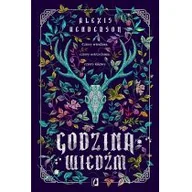 Fantasy - Wydawnictwo Kobiece Godzina wiedzm LIT-49056 - miniaturka - grafika 1