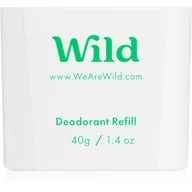 Dezodoranty i antyperspiranty męskie - Wild Mint & Aloe Vera dezodorant w sztyfcie napełnienie 40 g - miniaturka - grafika 1