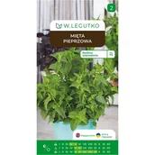 Nasiona i cebule - Mięta pieprzowa Mentha piperita nasiona ziół W.Legutko - miniaturka - grafika 1