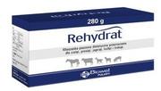 Akcesoria jeździeckie - Biowet BIOWET Rehydrat 280g 32986-uniw - miniaturka - grafika 1