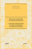 Archeologia - Biblioteki żydowskie w II Rzeczypospolitej Z dziejów nowoczesnej kultury żydowskiej na ziemiach polskich - miniaturka - grafika 1