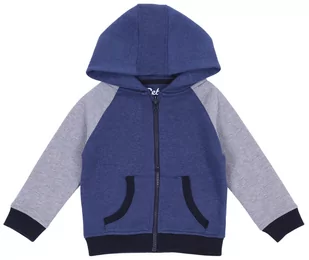 Granatowo-Szara Bluza Z Kapturem Primark 98 Cm - Moda i Uroda OUTLET - miniaturka - grafika 1