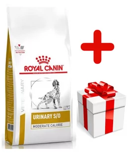 Royal Canin Urinary S/O Moderate Calorie UMC 20 12kg - Sucha karma dla psów - miniaturka - grafika 1