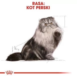 ROYAL CANIN Persian Adult 30 400g - Sucha karma dla kotów - miniaturka - grafika 2