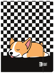 TECZKA Z GUMKĄ A4 Unipap, ST.RIGHT SLEEPY CORGI szachownica - Teczki i skoroszyty - miniaturka - grafika 1