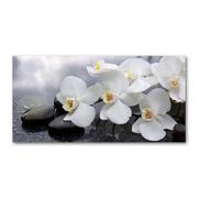 Obrazy i zdjęcia na płótnie - Obraz zdjęcie na ścianę akryl Orchidea - miniaturka - grafika 1