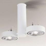 Lampy sufitowe - Shilo plafon reflektorki) Natori 2xAR111 biały 7214 - miniaturka - grafika 1