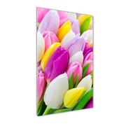 Obrazy i zdjęcia na płótnie - Foto obraz na szkle Kolorowe tulipany - miniaturka - grafika 1