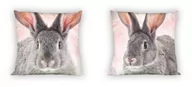 Poszewki na poduszki - Carbotex Poszewka Wild Królik 40x40 cm 41333 - miniaturka - grafika 1