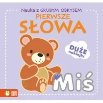 Zielona Sowa Nauka z grubym obrysem. Pierwsze słowa praca zbiorowa - Edukacja przedszkolna - miniaturka - grafika 1