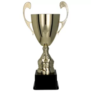 Puchar metalowy złoty T-M - Gadżety dla kibiców - miniaturka - grafika 1
