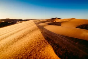 Galeria Plakatu, Plakat, Piach Na Wietrze, Premium, 50x40 cm - Plakaty Galeria Plakatu, Plakat, Piach Na Wietrze, Premium, 50x40 cm - Plakaty - miniaturka - grafika 1