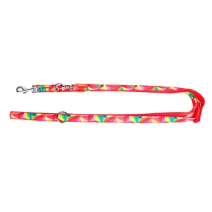 Dingo Smycz America-Kolorado 20mm/120-220cm - Smycze dla psów Dingo Smycz America-Kolorado 20mm/120-220cm - Smycze dla psów - miniaturka - grafika 1