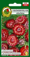Nasiona i cebule - Nieśmiertelnik szkarłatny 1.5 g PNOS - miniaturka - grafika 1