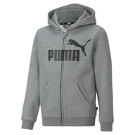 Odzież sportowa dziecięca - Młodzieżowa bluza z kapturem z dużym logo Essentials PUMA Medium Gray Heather - miniaturka - grafika 1