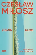 Opowiadania - Ziemia Ulro. Przedmowa: Olga Tokarczuk - miniaturka - grafika 1