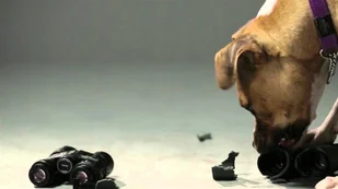 Vortex Optics - Lornetka Crossfire HD 10x50 - CF-4313 - Lornetki - miniaturka - grafika 7