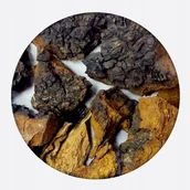 Herbata - Guz brzozy brzozowy Czaga Czyr Błyskoporek podkorowy Cały MysticGarden 500g - miniaturka - grafika 1