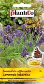 Nasiona i cebule - NASIONA Lawenda Lekarska 0,2g PLANTICO Miododajna 424074 - miniaturka - grafika 1