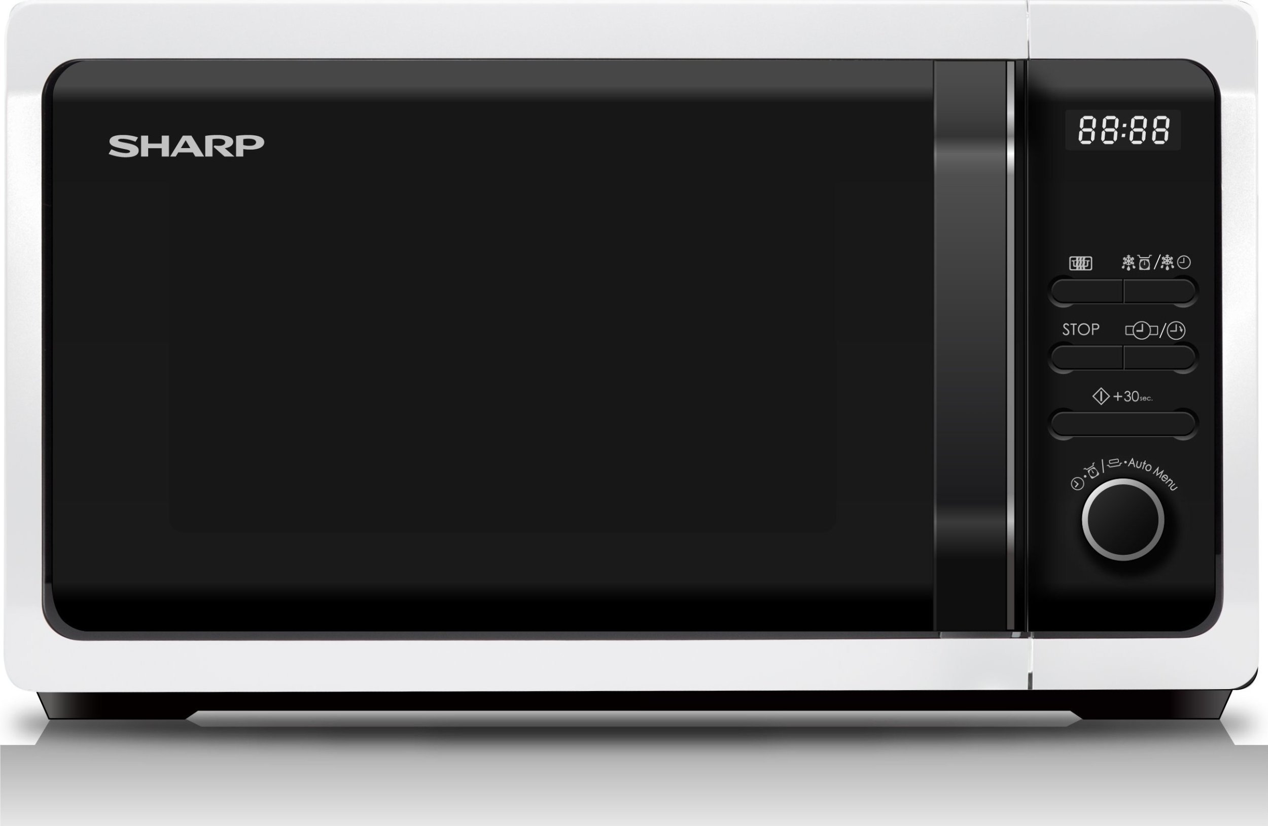 Sharp R243W