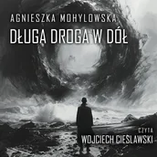 Audiobooki - fantastyka i horror - Długa droga w dół - miniaturka - grafika 1