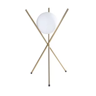 Maxlight Lampa Xena T0044 T0044 - Lampy stojące - miniaturka - grafika 1