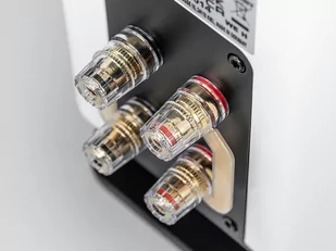ELAC Vela BS403.2 (biały połysk) - Głośniki i kolumny - miniaturka - grafika 2