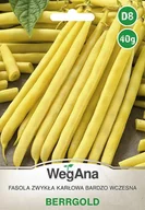 Nasiona i cebule - Fasola Berrgold Karłowa wczesna 40g nasiona - WegAna - miniaturka - grafika 1