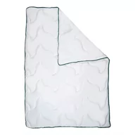 Kołdry - Kołdra pikowana Aloe Vera, 160x200 cm - miniaturka - grafika 1