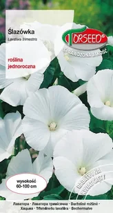 Nasiona Ślazówka ogrodowa biała - Torseed - Nasiona i cebule - miniaturka - grafika 1