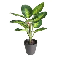 Sztuczne kwiaty - Sztuczna kwiat w doniczce DIFENBACHIA 35 cm zielony - miniaturka - grafika 1