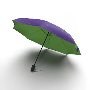 Jumble & Co Parasol Ups & Downs - kompaktowy, mocny, wodoodporny parasol automatyczny, jeden przycisk otwierania i zamykania, dwukolorowy - zielony/fioletowy, ZIELONY, 30cm, Kompaktowy, mocny, - Parasole - miniaturka - grafika 1