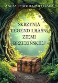 Fantasy - Skrzynia legend i baśni Ziemi Brzezińskiej - Aneta Lejwoda-zielińska - książka - miniaturka - grafika 1