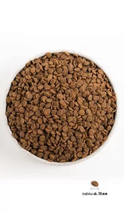 ORIJEN Original Cat 1,8kg + niespodzianka dla kota GRATIS! - Sucha karma dla kotów - miniaturka - grafika 4