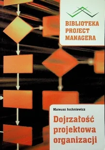 Dojrzałość projektowa organizacji - Biznes - miniaturka - grafika 1