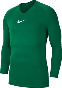 Nike Koszulka męska Dry Park First Layer zielona r. XXL AV2609-302 - Koszulki męskie - miniaturka - grafika 1
