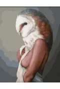 Malowanie po numerach - Kobieta Sowa 40x50 cm - Malowanie po numerach - miniaturka - grafika 1