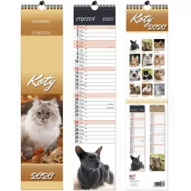 EV-Corp Kalendarz ścienny, paskowy 2020, Koty - Kalendarze - miniaturka - grafika 1
