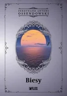 Opowiadania - Biesy - miniaturka - grafika 1