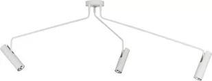 Nowodvorski Plafon Lampa sufitowa EYE SUPER 6491 halogenowa OPRAWA metalowy SPOT - Lampy sufitowe - miniaturka - grafika 1