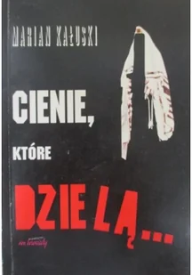 Cienie które dzielą Używana - Religia i religioznawstwo - miniaturka - grafika 2