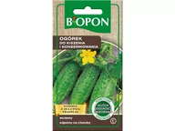 Nawozy ogrodnicze - Biopon Ogórek Odys mieszaniec 5g Bio000100 - miniaturka - grafika 1