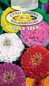 Nasiona i cebule - CYNIA DALIOWA WIELKOKWIATOWA SUPER YOGA 1g - miniaturka - grafika 1