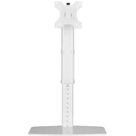 Uchwyty do monitorów - Techly Uchwyt biurkowy LCD/LED ICA-LCD 260 17-27\" pionowy biały 102765 - miniaturka - grafika 1