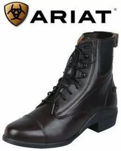 ARIAT Sztyblety damskie PERFORMER ZIP PADDOCK - Buty do jazdy konnej - miniaturka - grafika 1